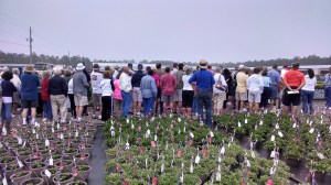 American Farms, Naples