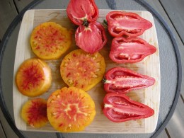 tomatoes sliced